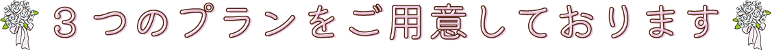 ３つのプランをご用意しております
