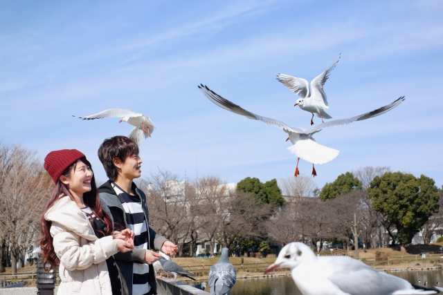 爽やか公園デート