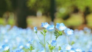 「継続という才」が婚活では最も大切