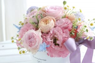 現在ご活動中の会員様たちについて